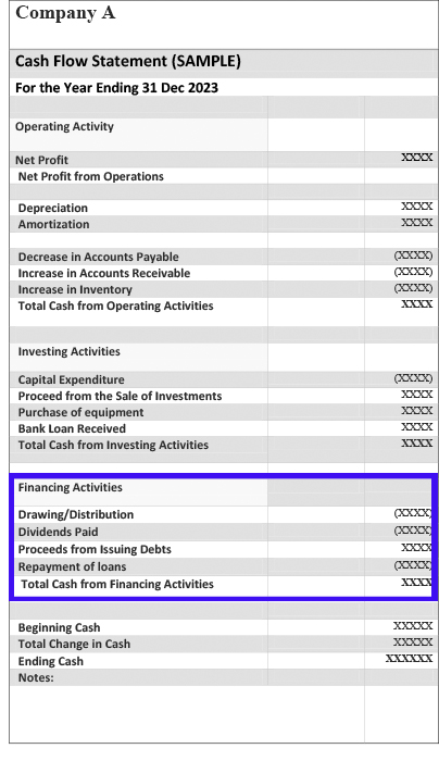 Sample Cash Flow Statement Showing Financing Activities