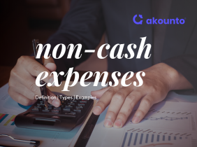 What is Non-Cash Expenses