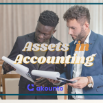 Assets in Accounting: Definition, Types & Example