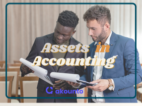 Assets in Accounting: Definition, Types & Example